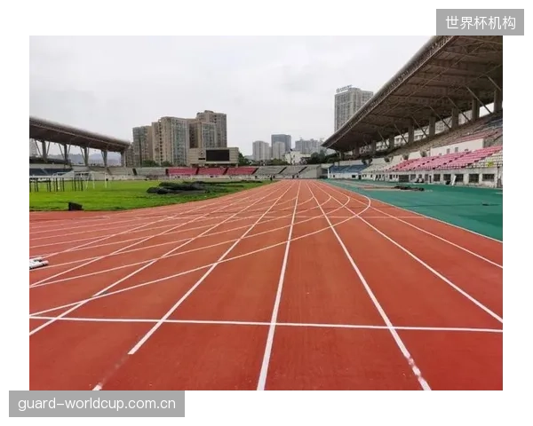 全国体育培训机构监管平台数据显示，已有超过3万家机构完成资质备案，行业监管覆盖率达到75%